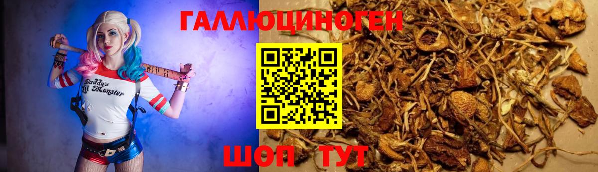 Галлюциногенные грибы мицелий  Вход с VPN  Кызыл 